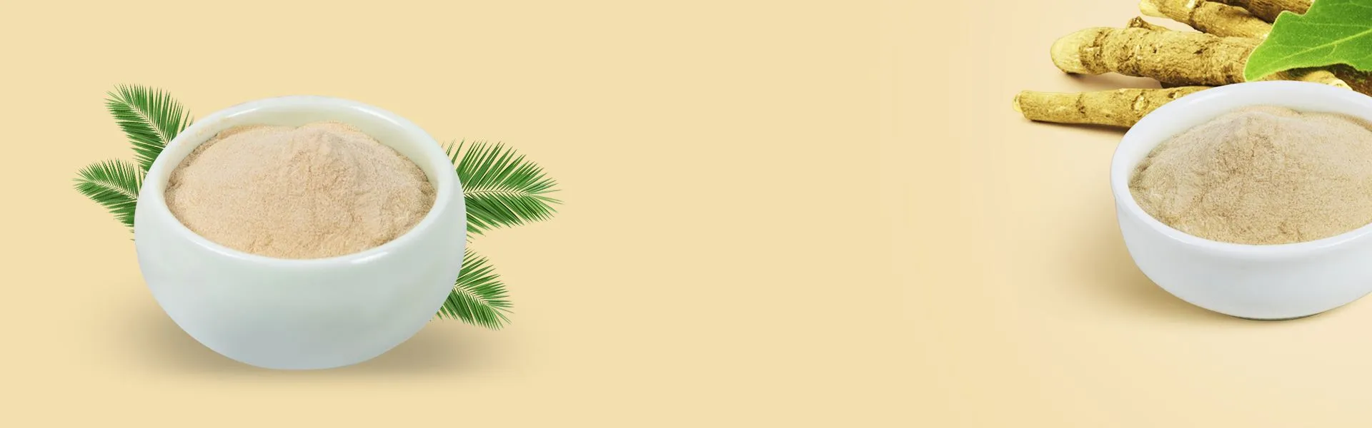 banner1